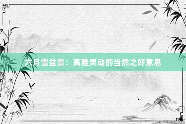 六月雪盆景：高雅灵动的当然之好意思