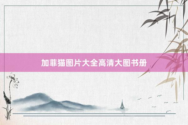 加菲猫图片大全高清大图书册