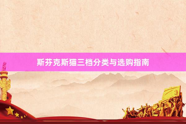 斯芬克斯猫三档分类与选购指南