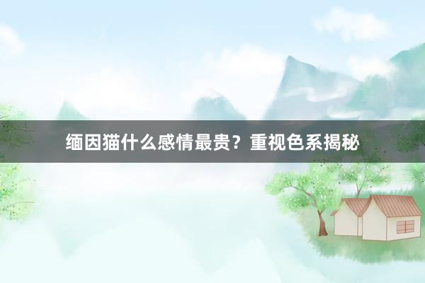 缅因猫什么感情最贵？重视色系揭秘